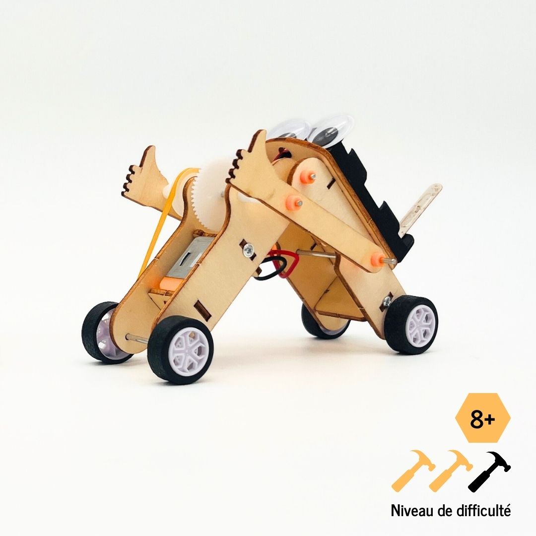 Duo Pack: Thumbs up Bot - CharBot - STEM wooden assembly kit